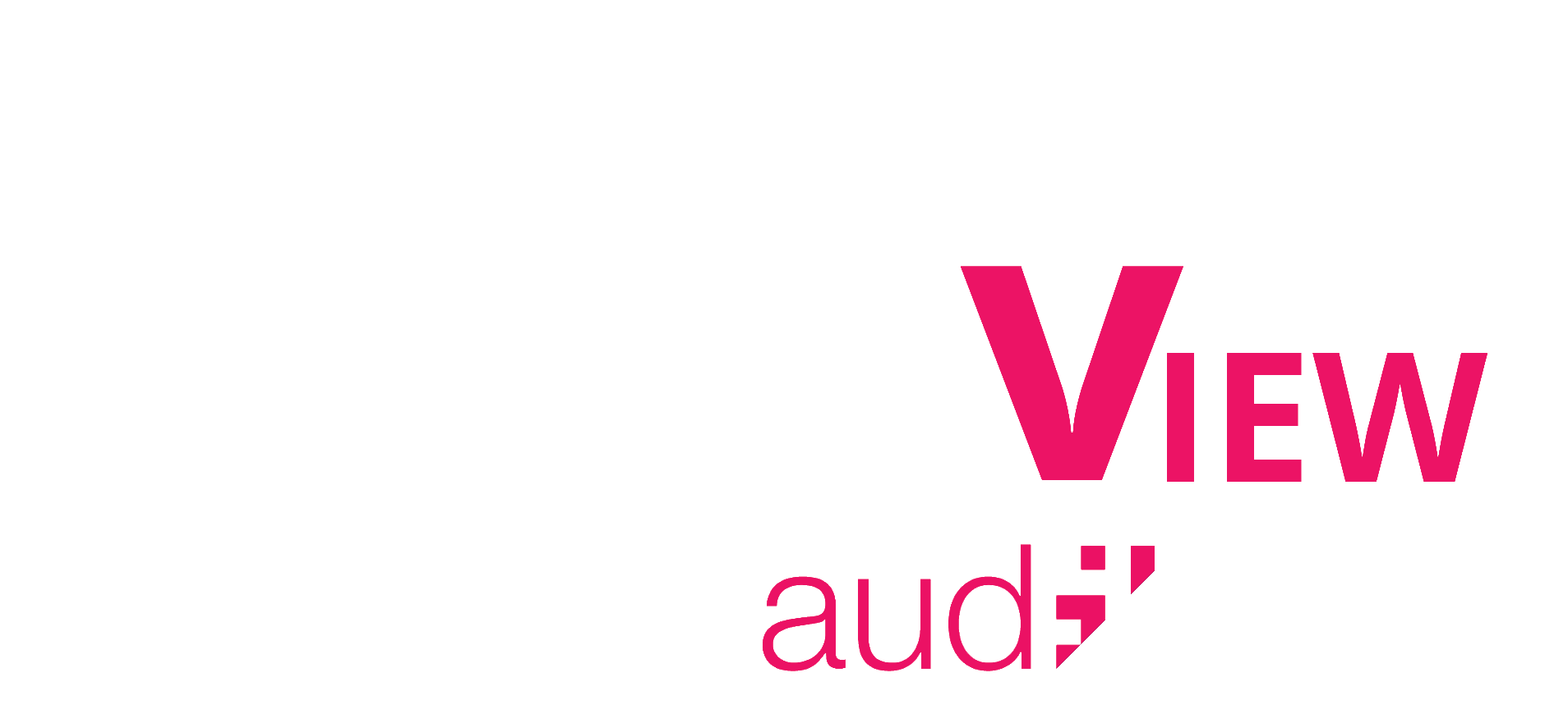 CISOView by IT Audit Labs
